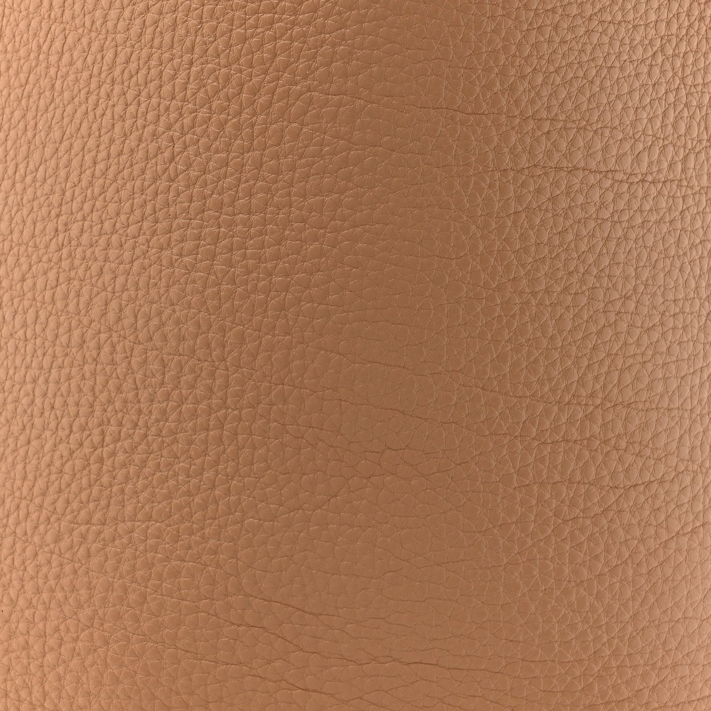 Grained Calfskin Medium N/S Park Tote Cinnamon