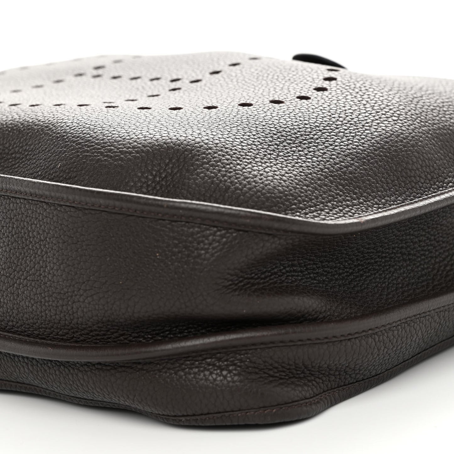 Taurillon Clemence Evelyne III TGM Chocolate