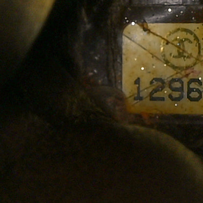Chanel Aged Calfskin Reissue 2.55 Tote Bronze 8 of 11