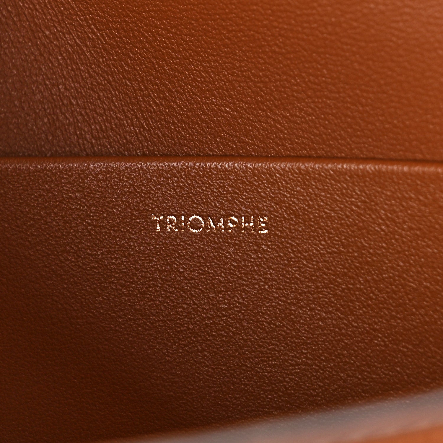 Celine Natural Calfskin Triomphe Shoulder Bag Tan 6 of 9
