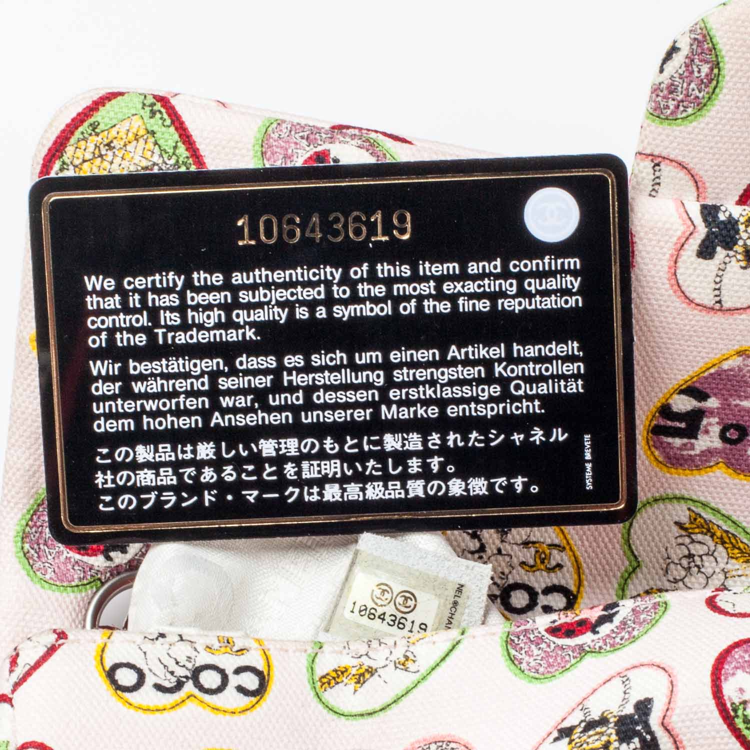 Chanel Canvas Coco Hearts Small Flap Bag 6 of 9