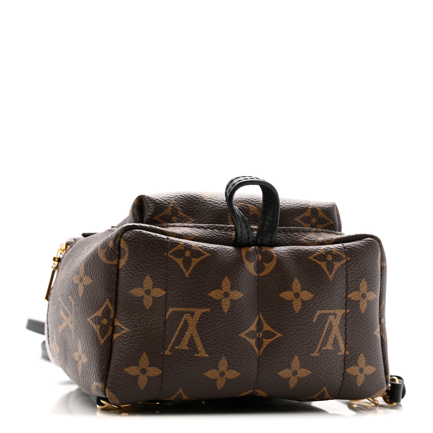 Monogram Palm Springs Backpack Mini