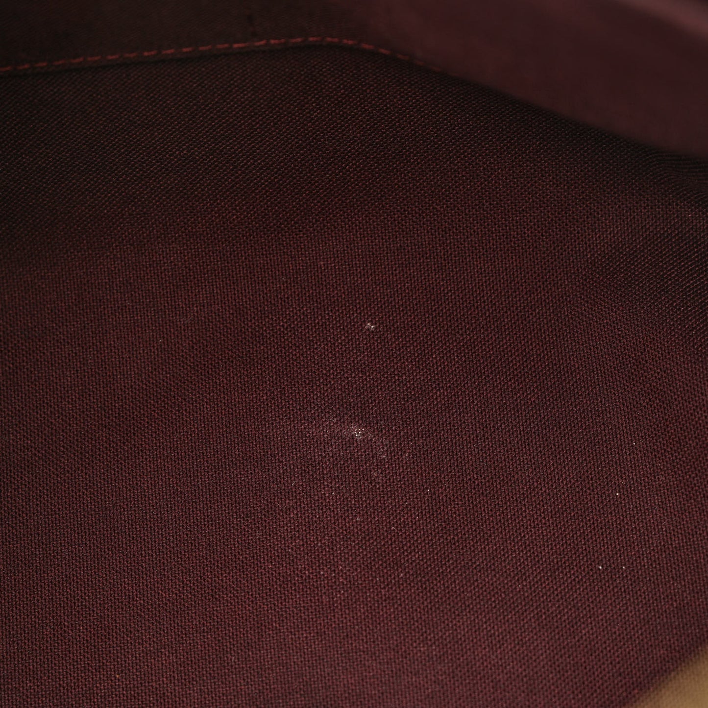 Monogram Turenne PM