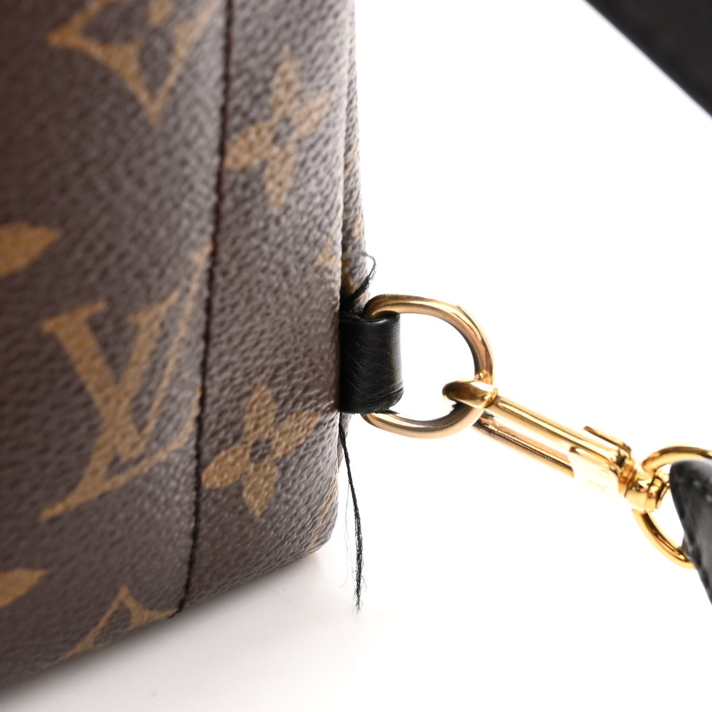 Monogram Palm Springs Backpack Mini