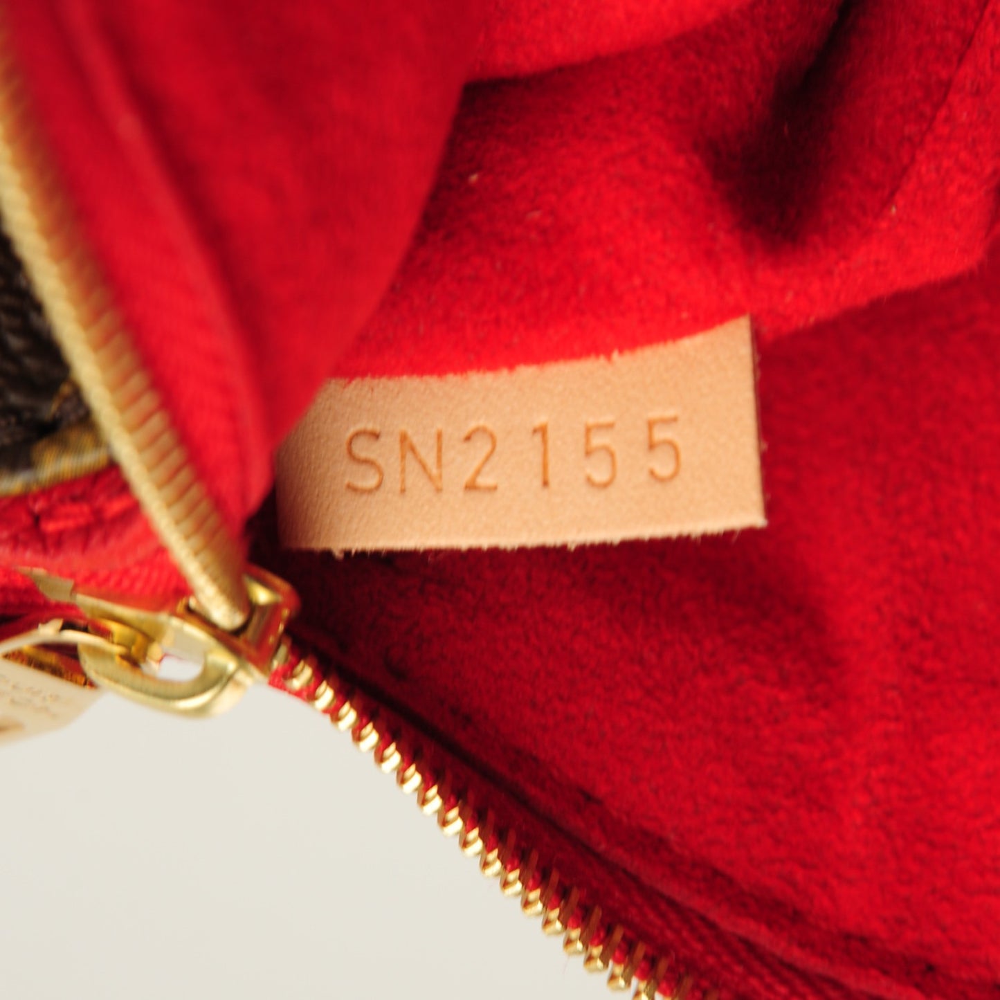 Monogram Nano Pallas Cherry