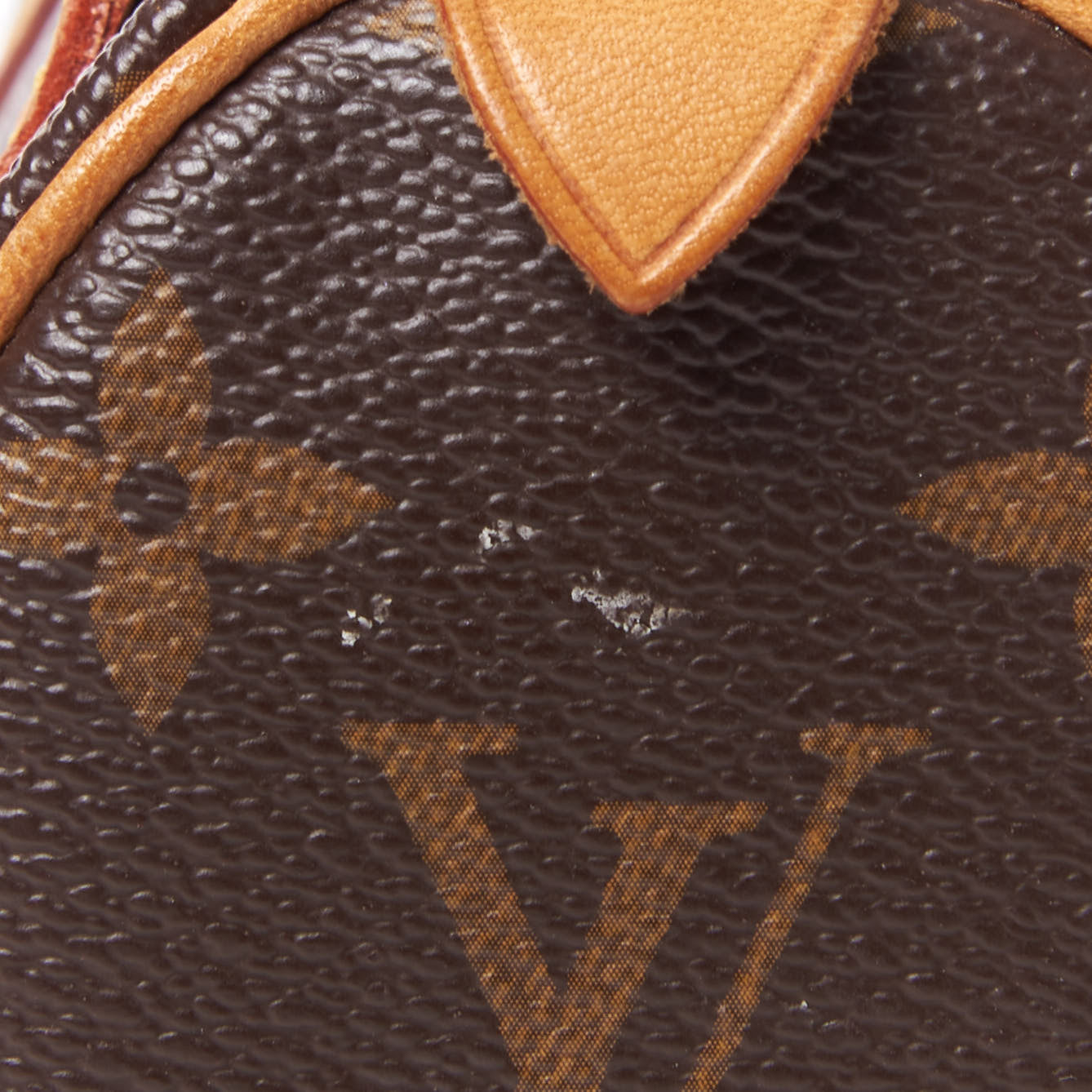 Monogram Mini Sac HL Speedy