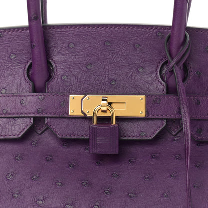 Hermes Ostrich Birkin 30 Violine 7 of 10