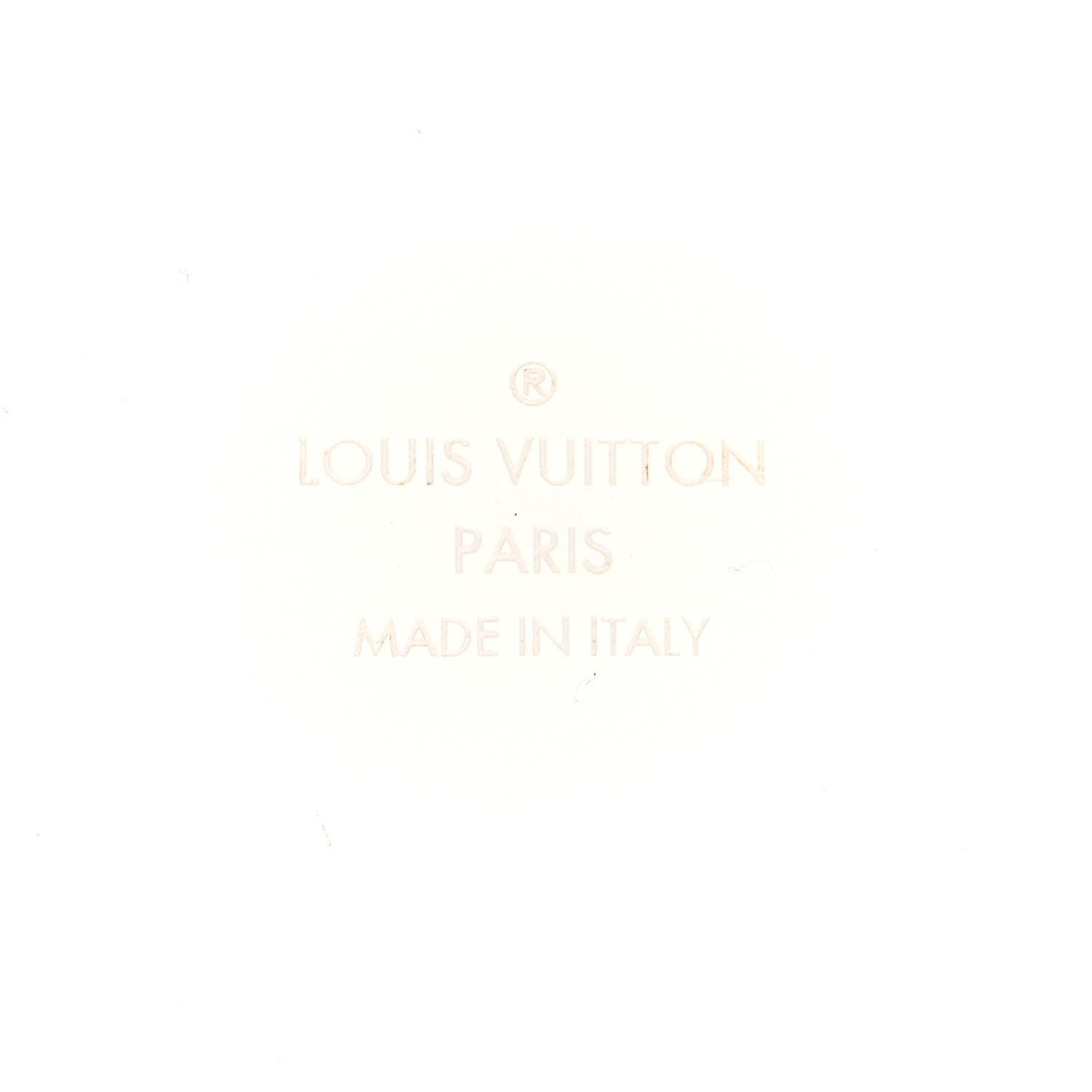 Louis Vuitton Transparent Plexiglass Box Scott Rose Ballerine 6 of 7