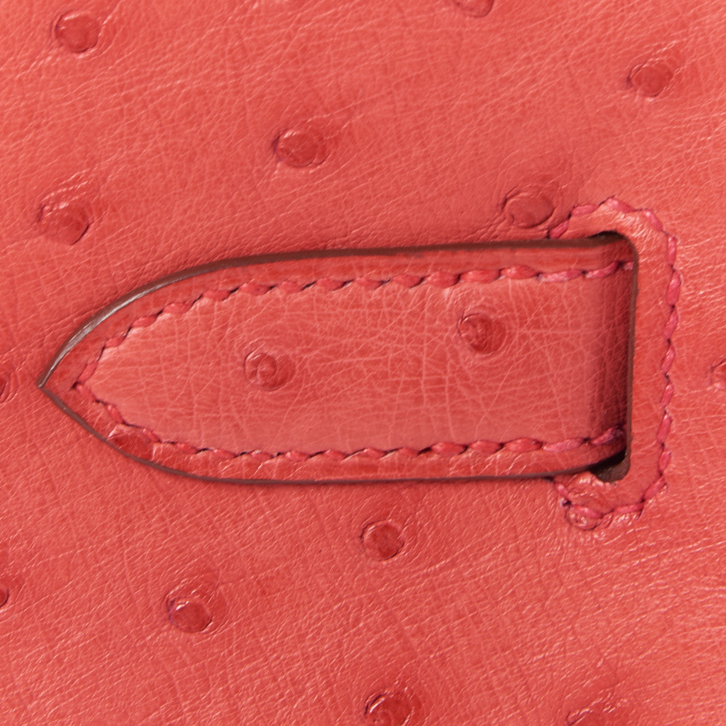 Ostrich Birkin 30 Bougainvillea