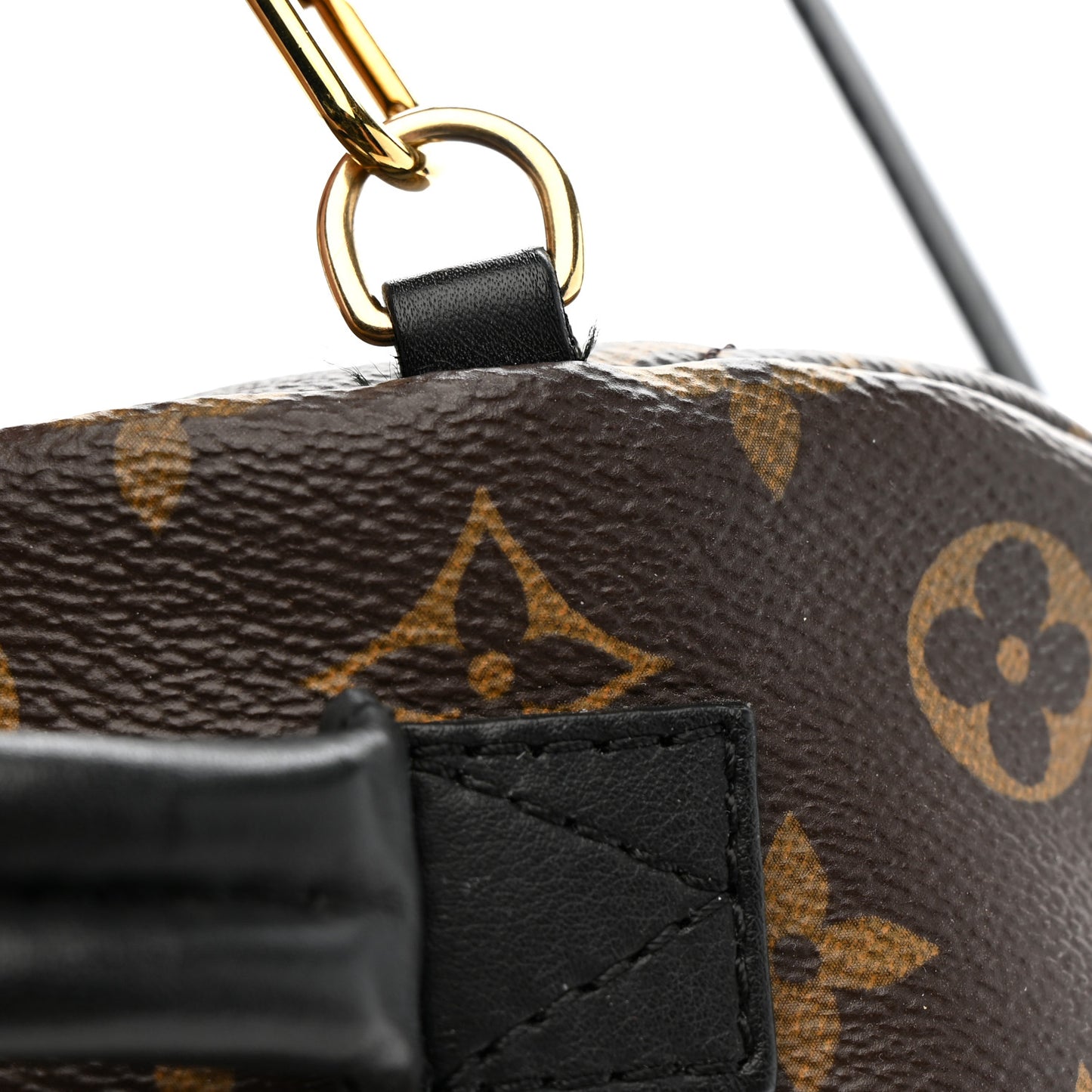 Monogram Palm Springs Backpack Mini