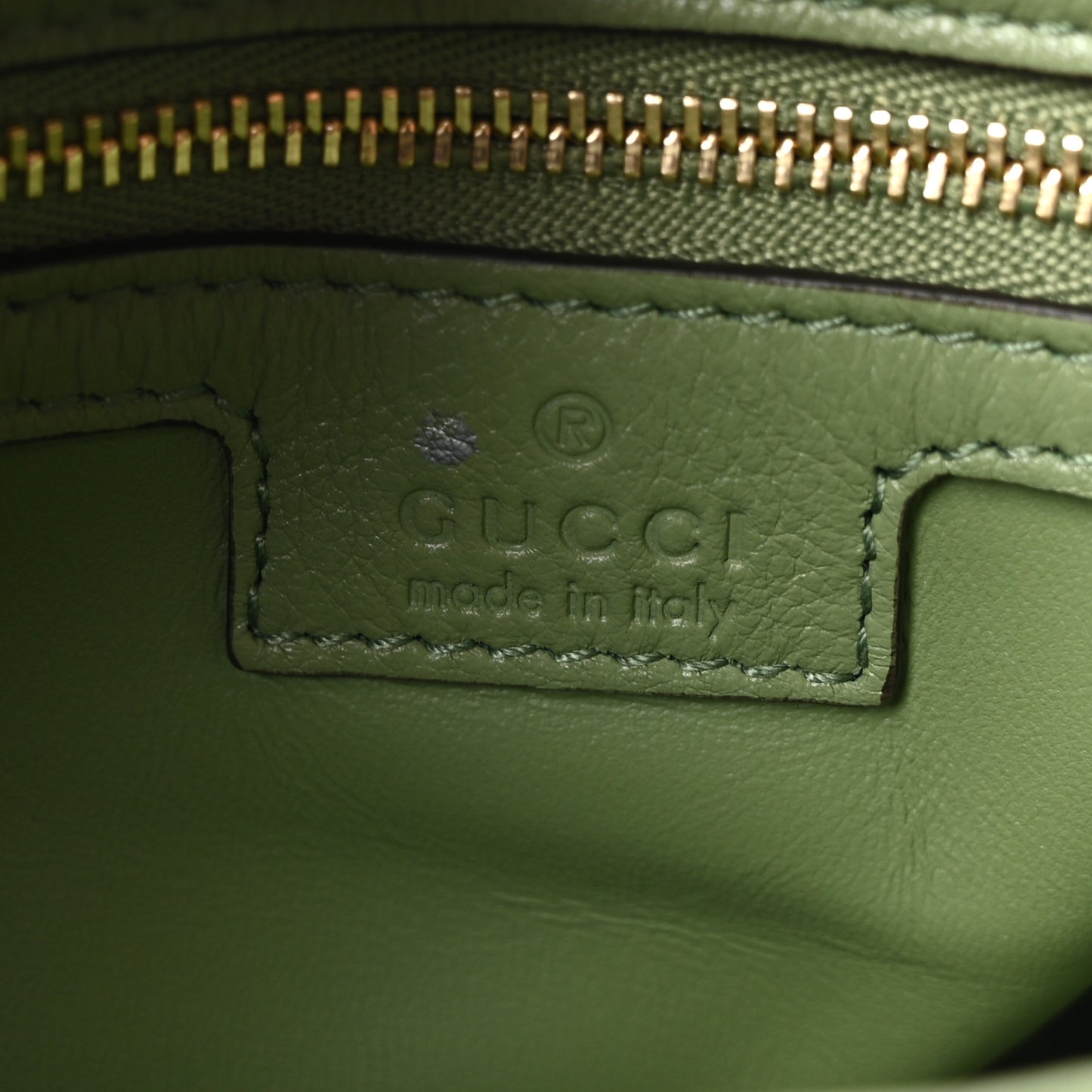 Roxy Calfskin Web Medium Blondie Top Handle Shoulder Flap Bag Salamander Green