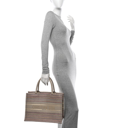 Christian Dior Canvas Embroidered Medium Stripes Book Tote Beige Multicolor 2 of 11