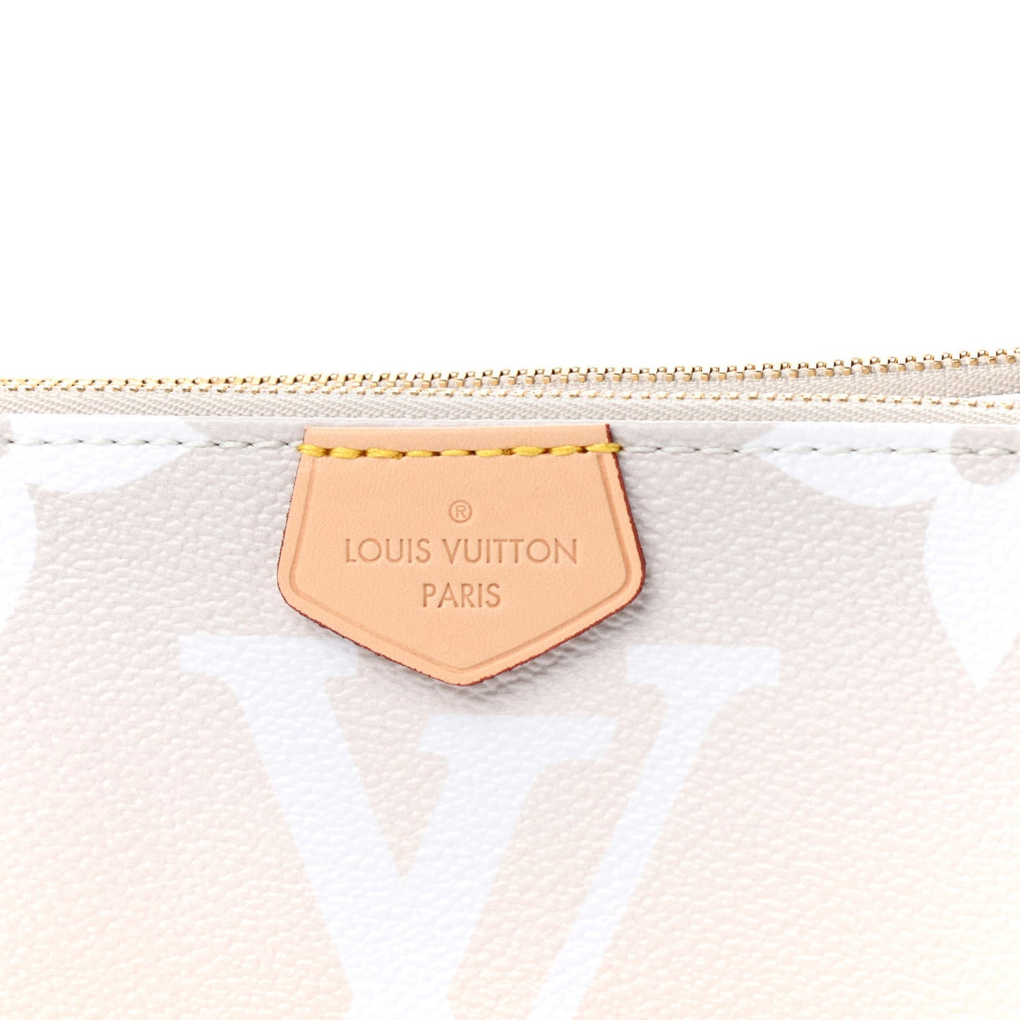 Monogram Giant By The Pool Multi Pochette Accessories Brume