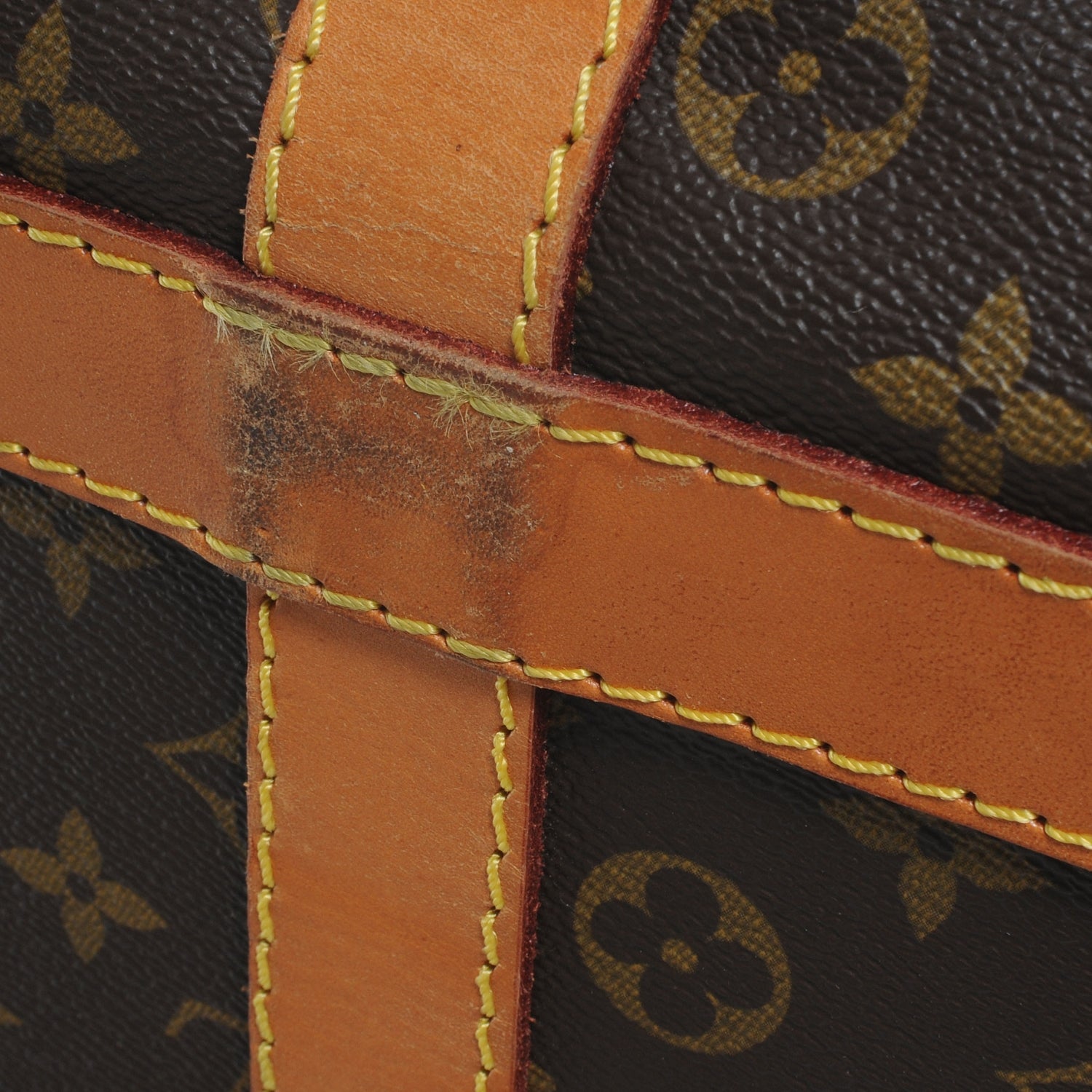 Louis Vuitton Sac Chaussures Shoes Carrier Case GM 5 of 11