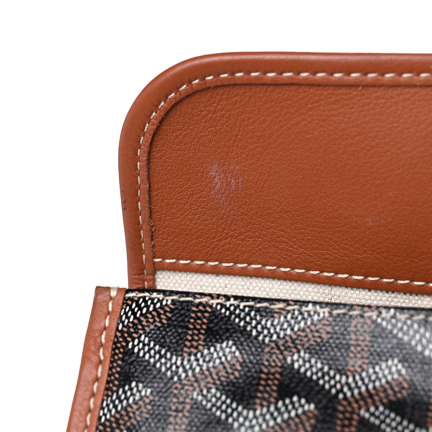 Goyard Goyardine Saint Louis PM Black Gold 10 of 23