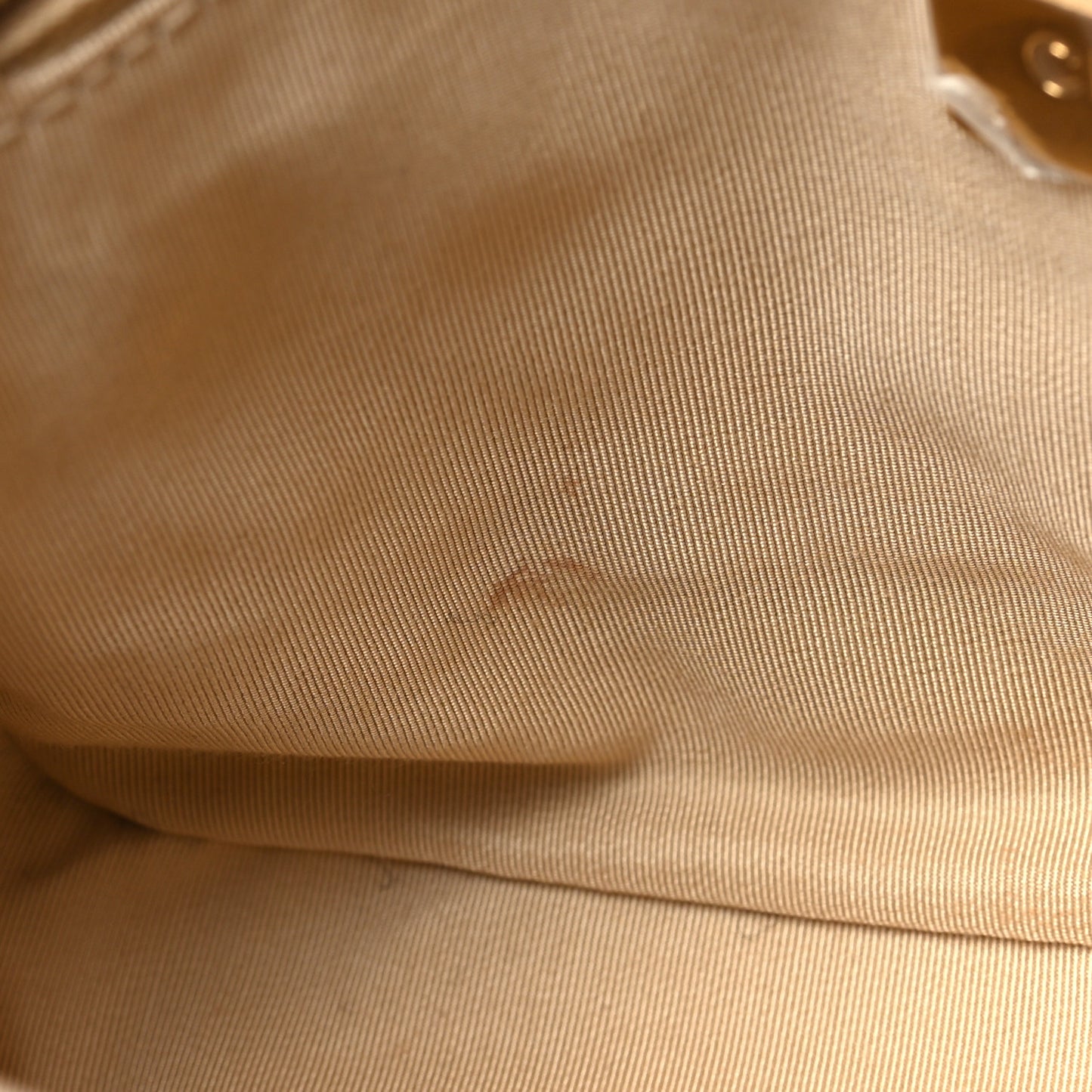 Lambskin Quilted Medium Chanel 19 Flap Beige