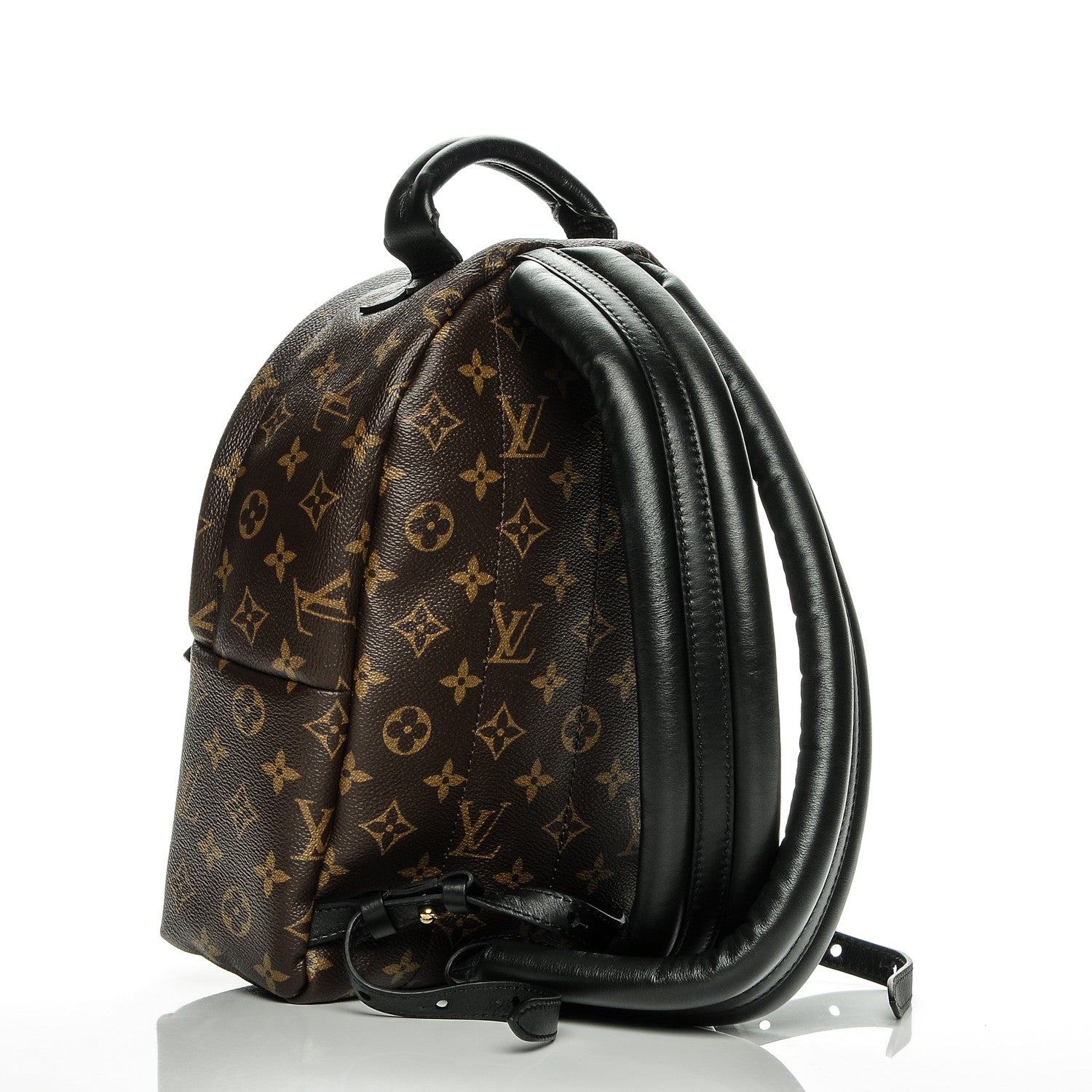 Louis Vuitton Monogram Palm Springs Backpack PM 3 of 6