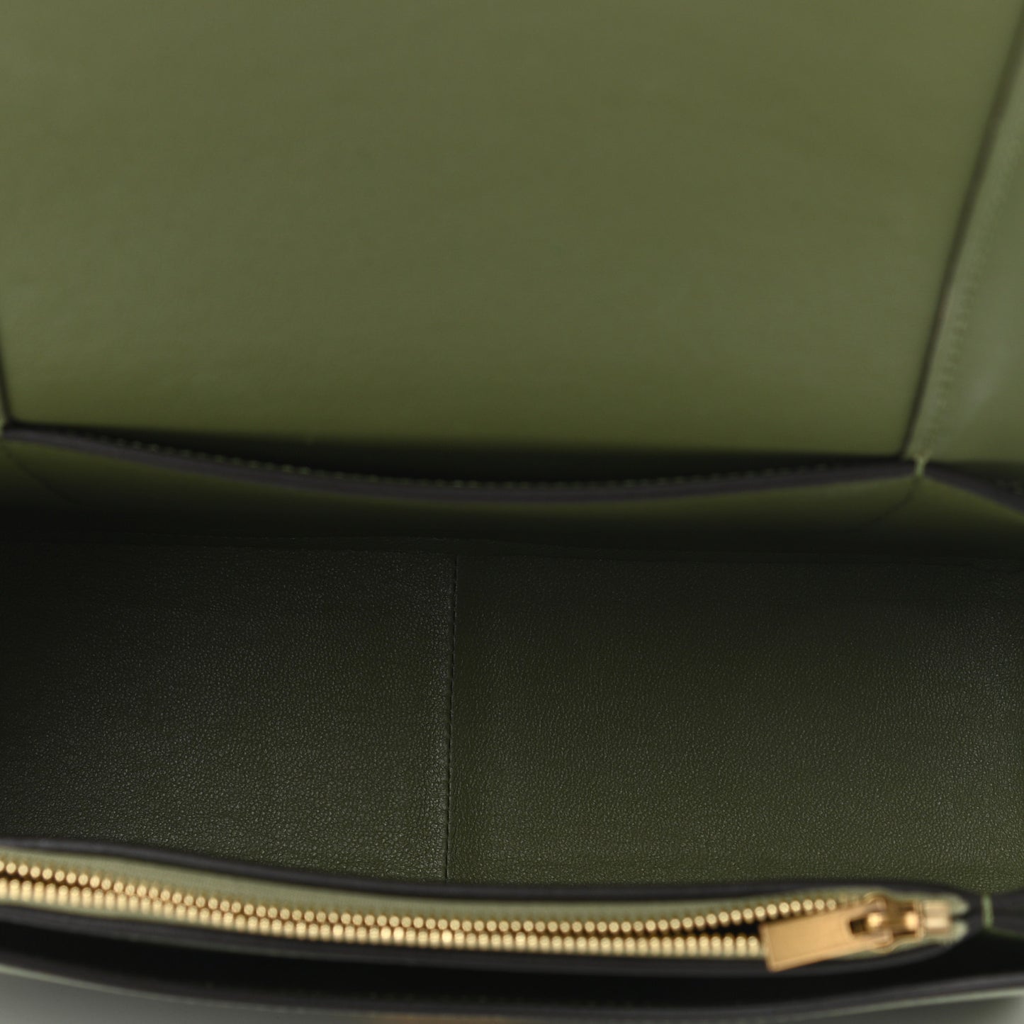 Shiny Smooth Calfskin Medium Frame Shoulder Bag Olive Pastel Green