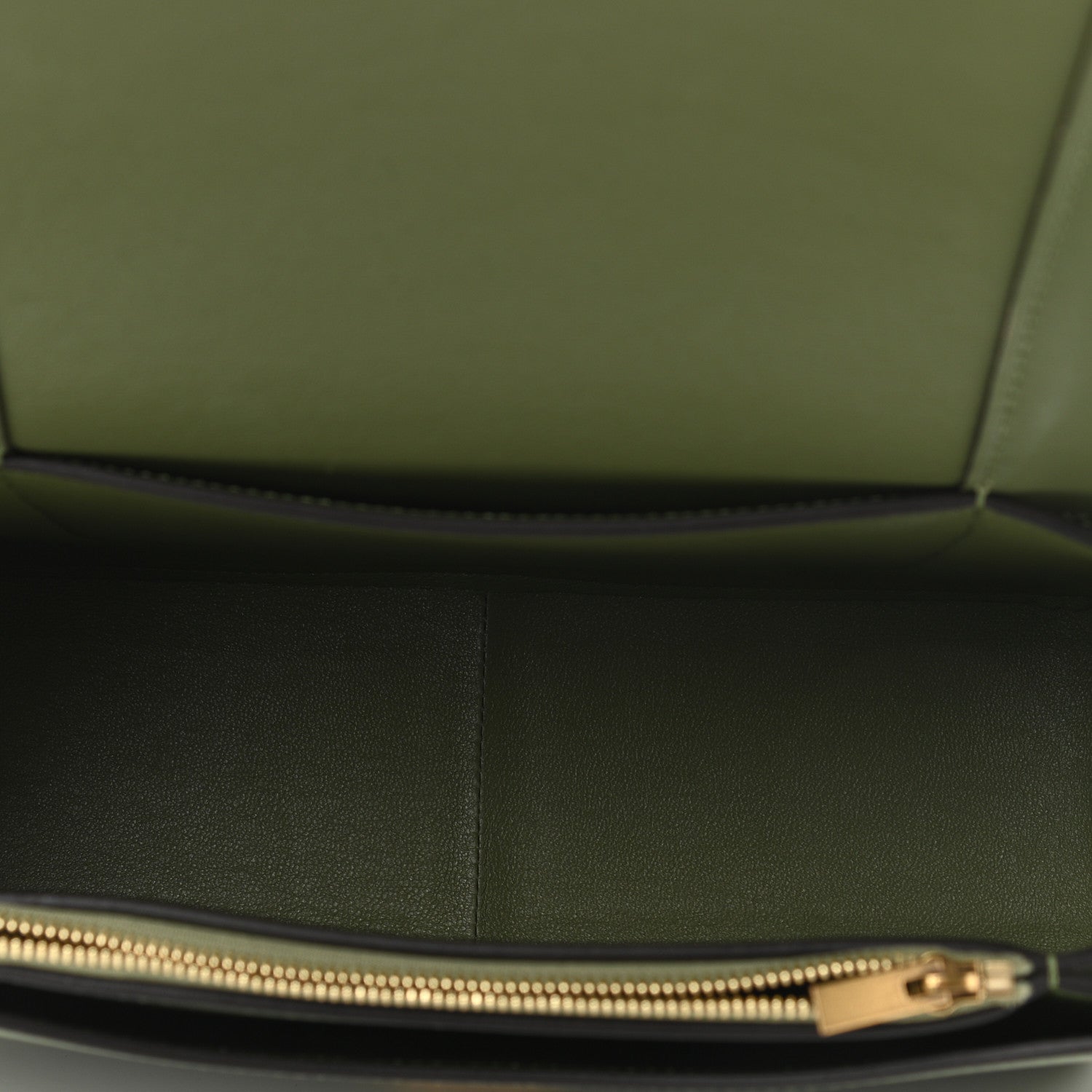 Celine Shiny Smooth Calfskin Medium Frame Shoulder Bag Olive Pastel Green 5 of 13