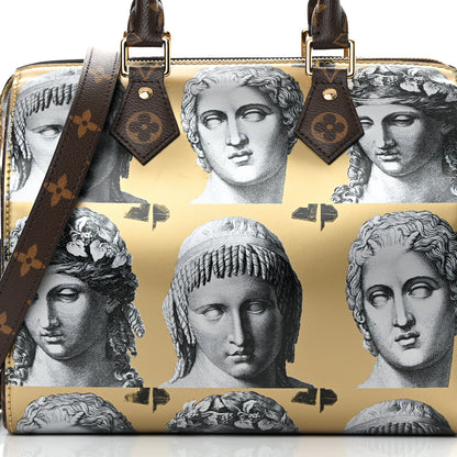 Louis Vuitton X FORNASETTI Calfskin Fornasetti Speedy Bandouliere 25 Gold 7 of 11