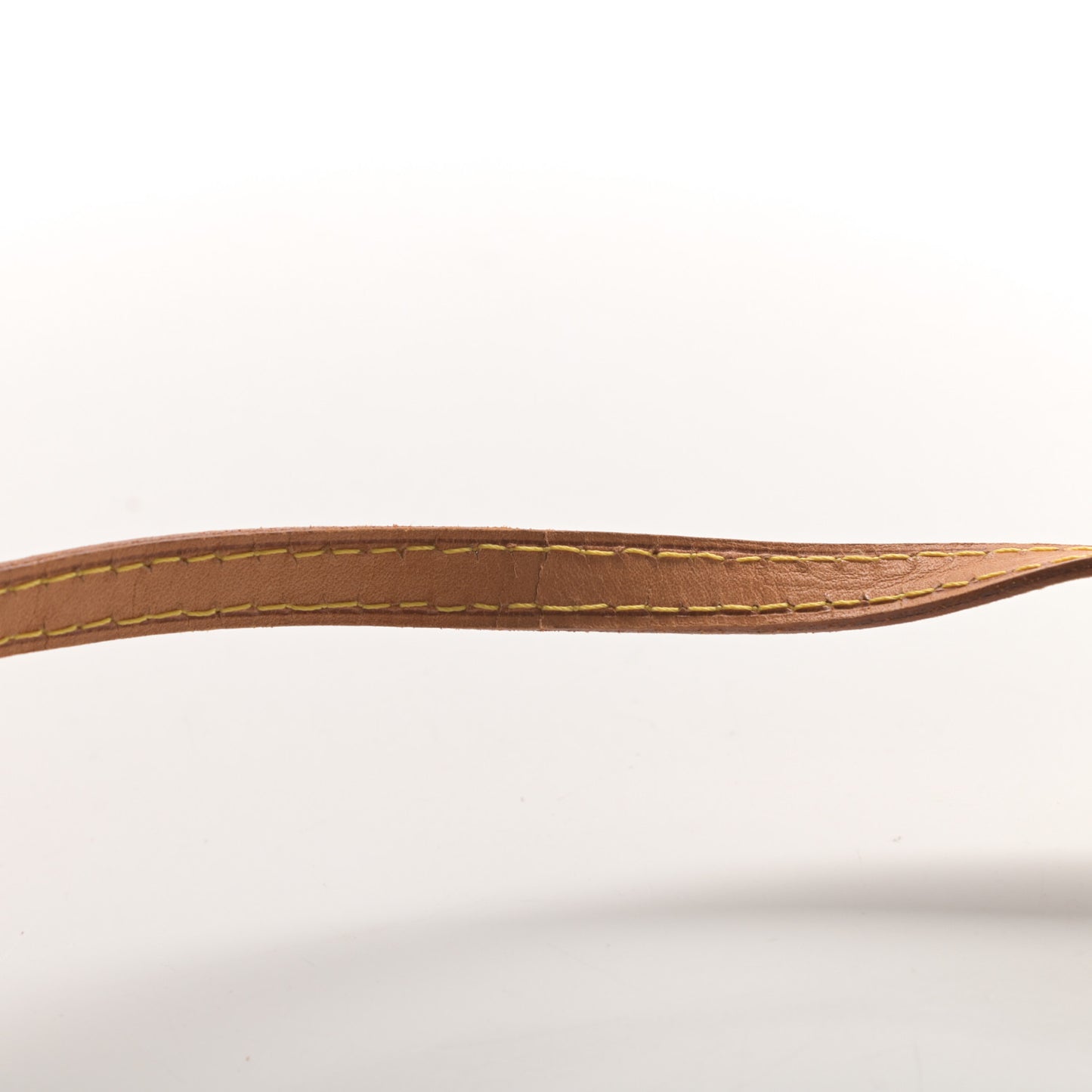 Monogram Pochette Twin PM