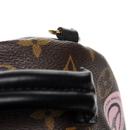 Louis Vuitton Monogram World Tour Palm Springs Backpack Mini 10 of 10