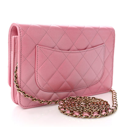 Chanel Cloudy Pearly Goatskin Quilted Wallet on Chain WOC Light Pink 3 of 11