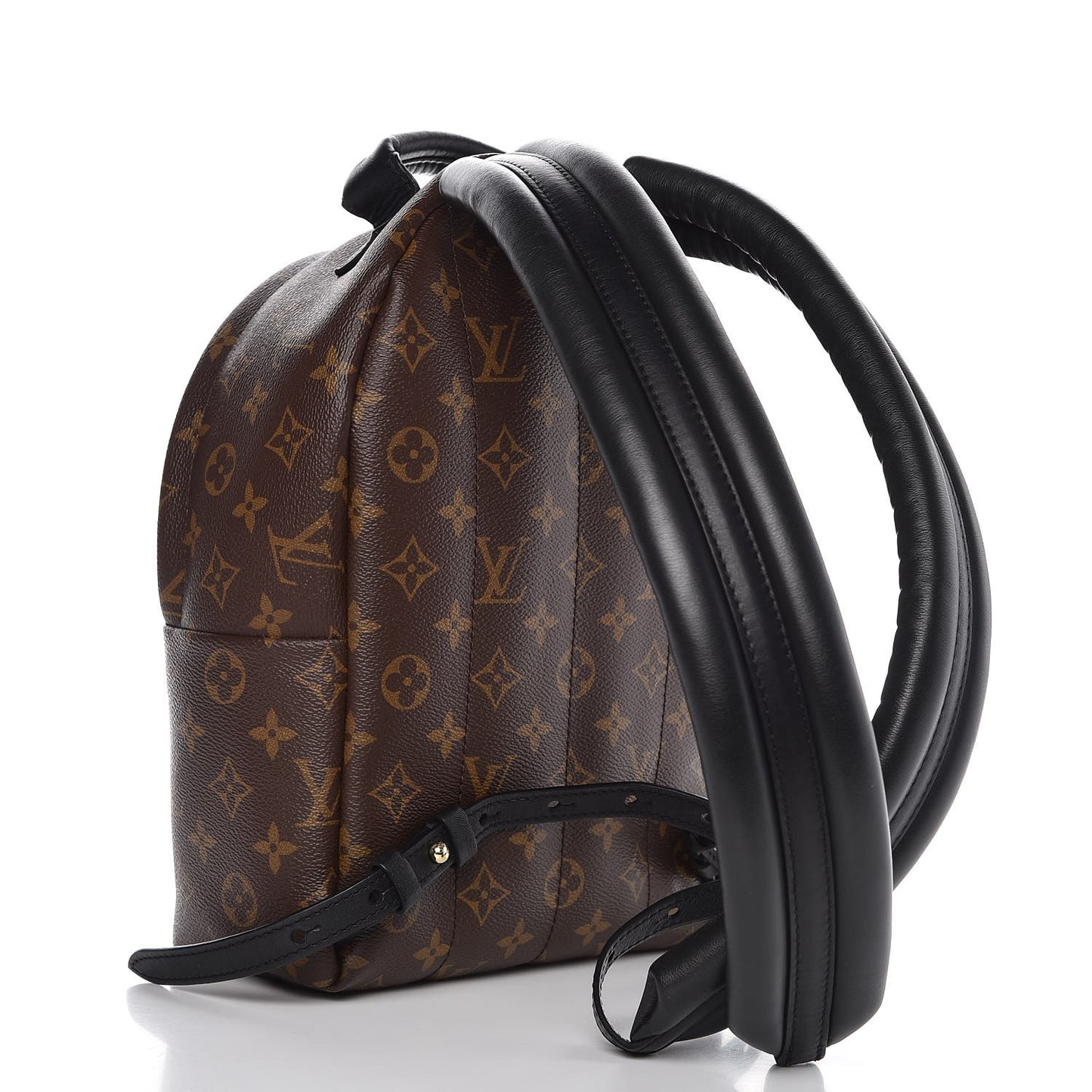 Monogram Palm Springs Backpack PM
