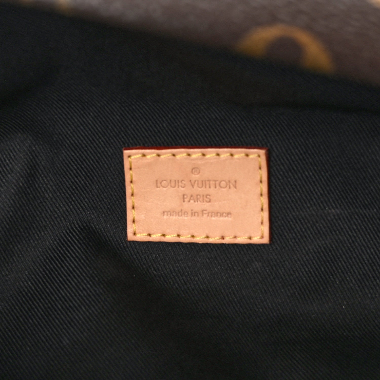 Louis Vuitton Monogram Bumbag 6 of 11
