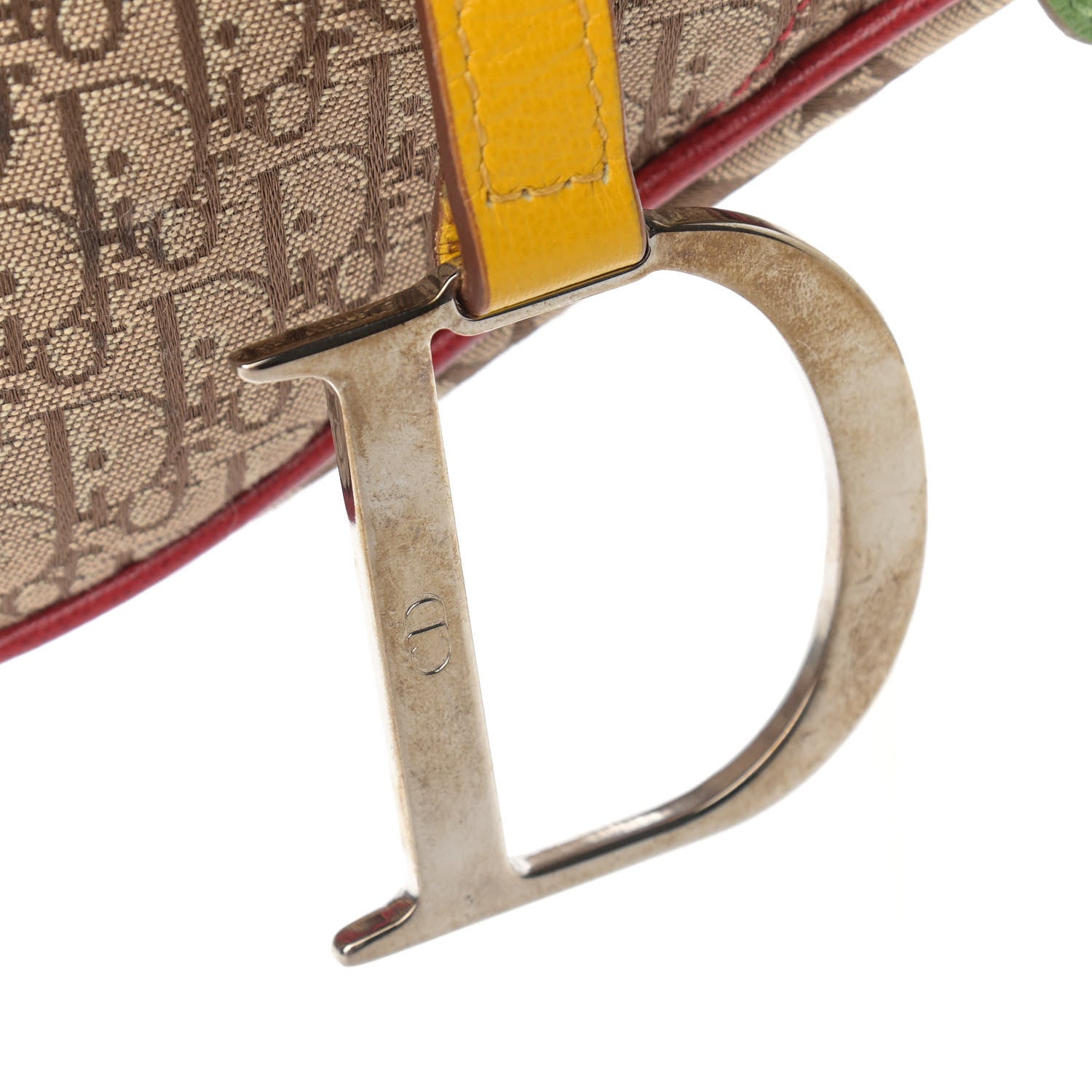 Christian Dior Monogram Rasta Saddle Bag Beige 10 of 13