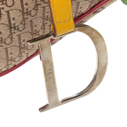 Christian Dior Monogram Rasta Saddle Bag Beige 10 of 13
