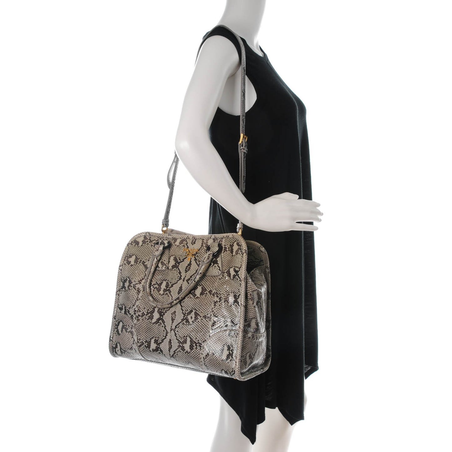 Shiny Python Tote Astro