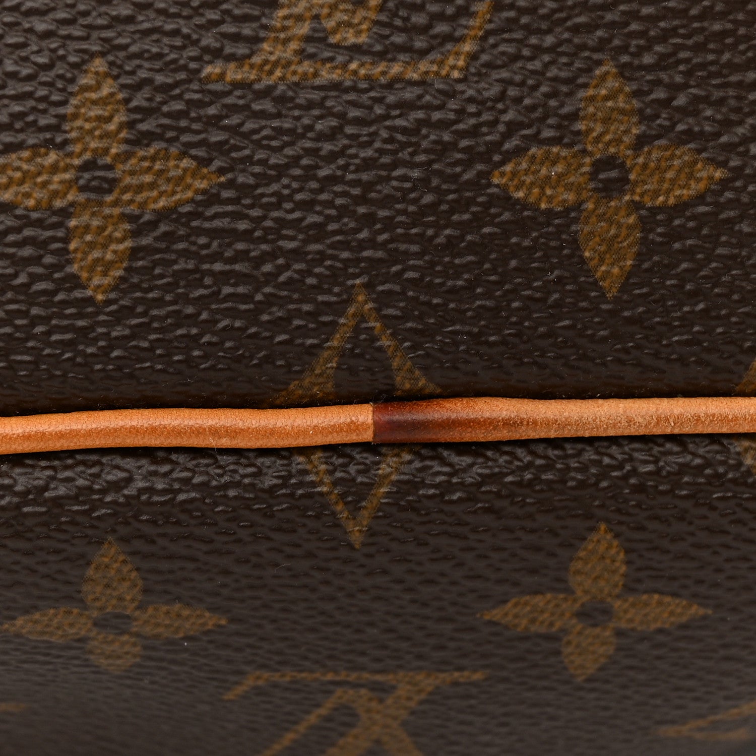 Louis Vuitton Monogram Palermo PM 11 of 16