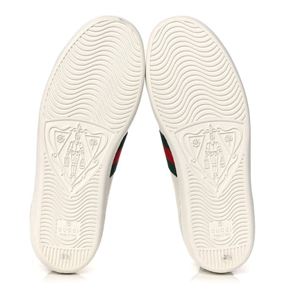 Gucci Calfskin Crocodile Web Womens Ace Sneakers 36.5 White Green 5 of 11