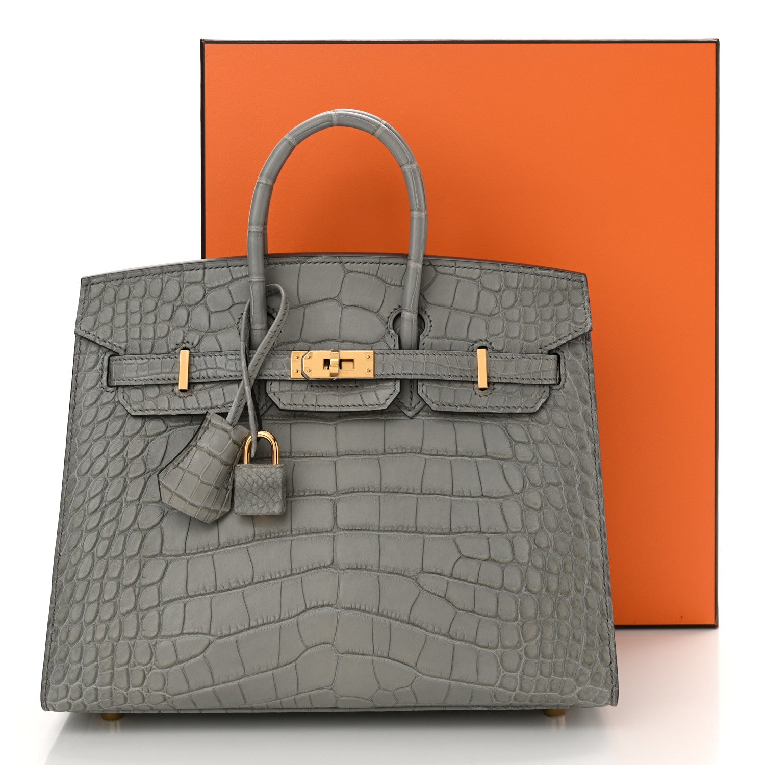 Hermes Matte Alligator Birkin Sellier 25 Gris Ciment 14 of 14