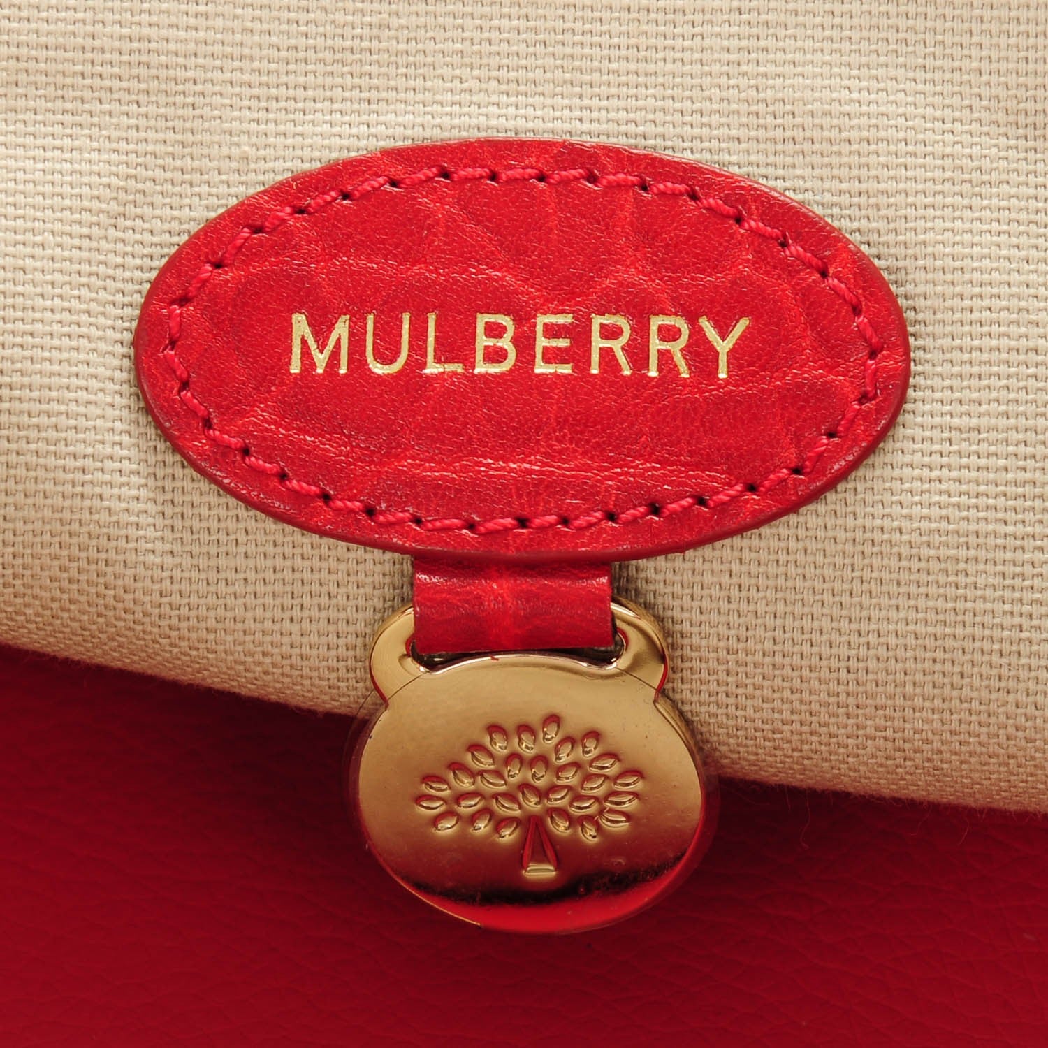 Mulberry Shrunken Calfskin Medium Alexa Poppy Red 6 of 8
