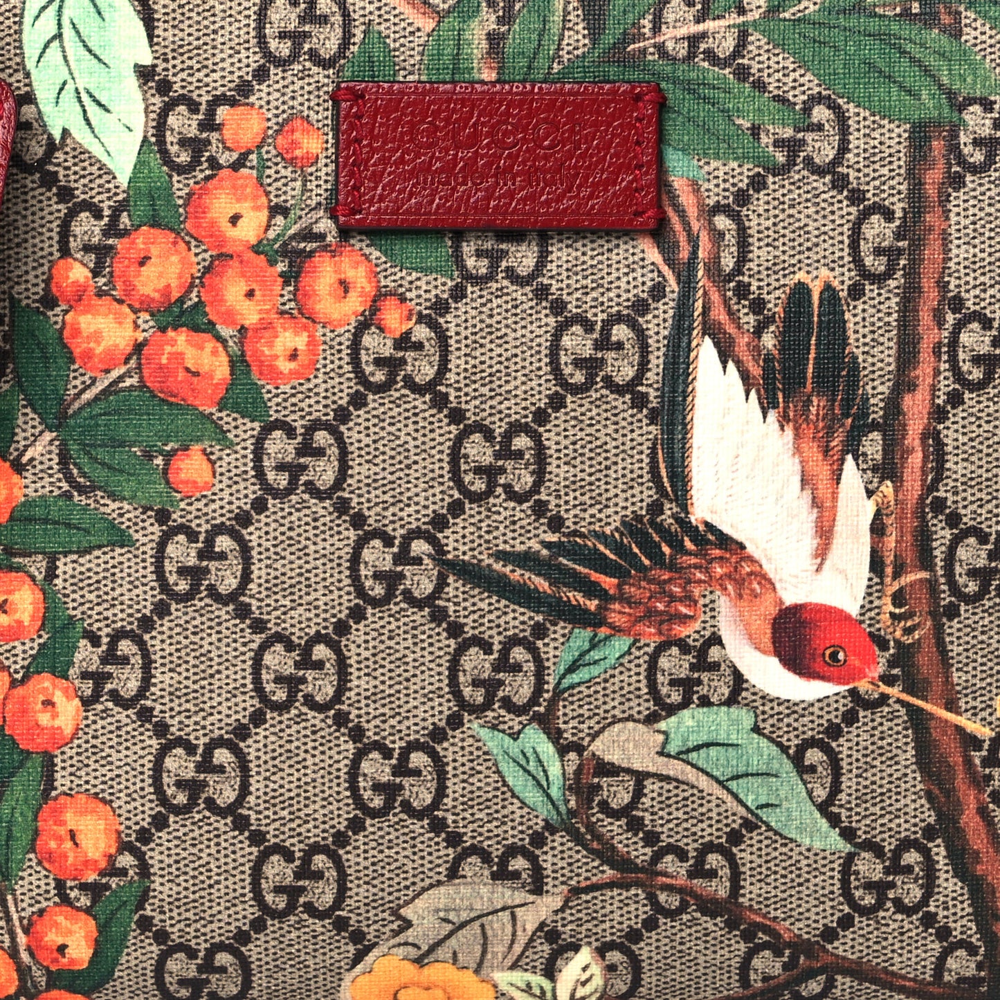 GG Supreme Monogram Tian Web Camera Bag Beige Multicolor Red