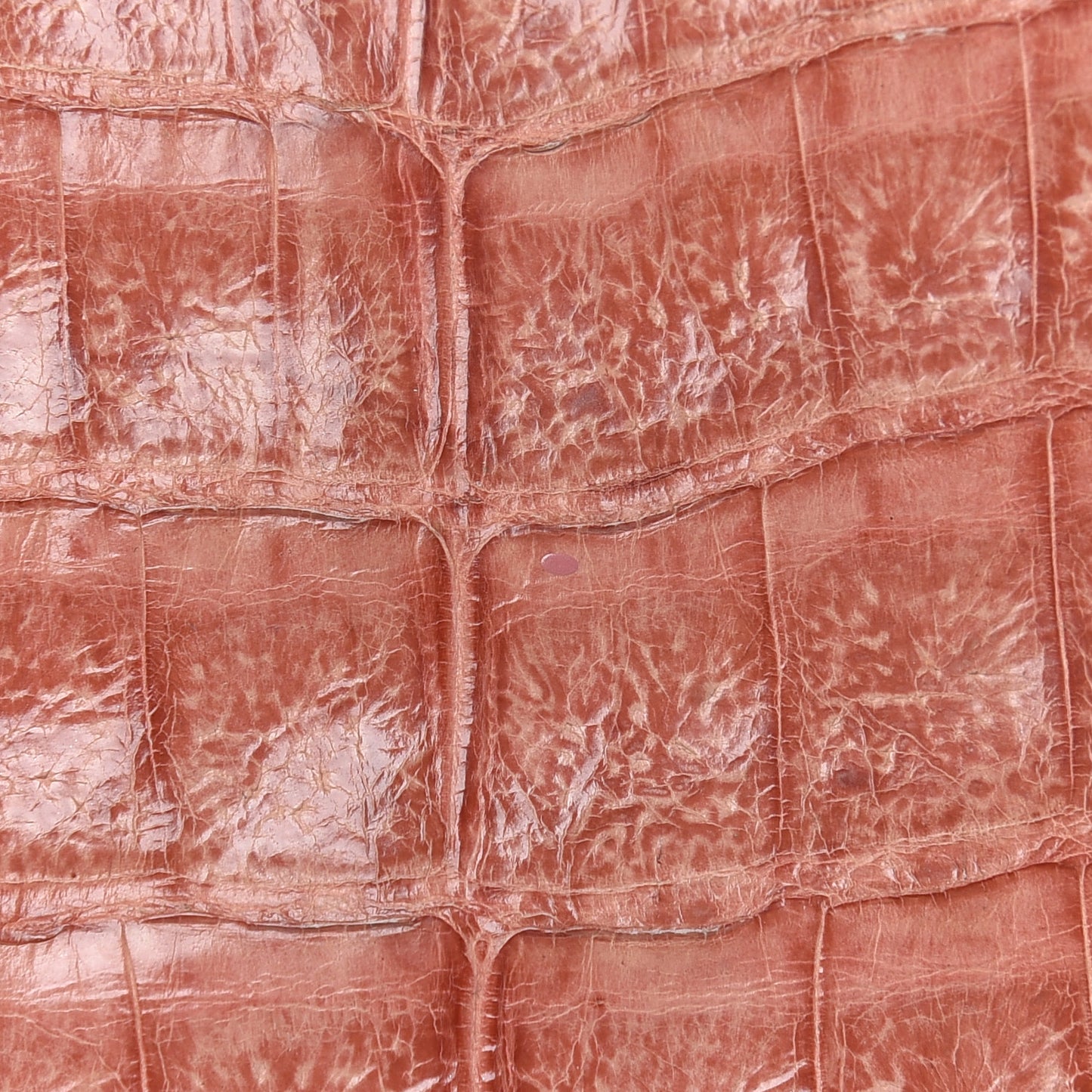 Crocodile Clutch Light Coral