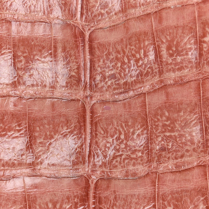Nancy Gonzalez Crocodile Clutch Light Coral 13 of 14