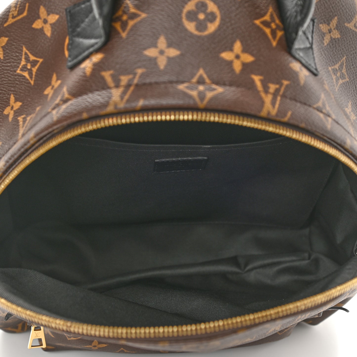Monogram Palm Springs Backpack MM
