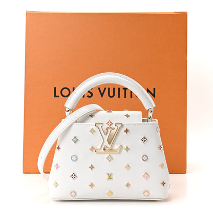 Louis Vuitton LV X TM Cowhide Mini Capucines Multicolor 9 of 9