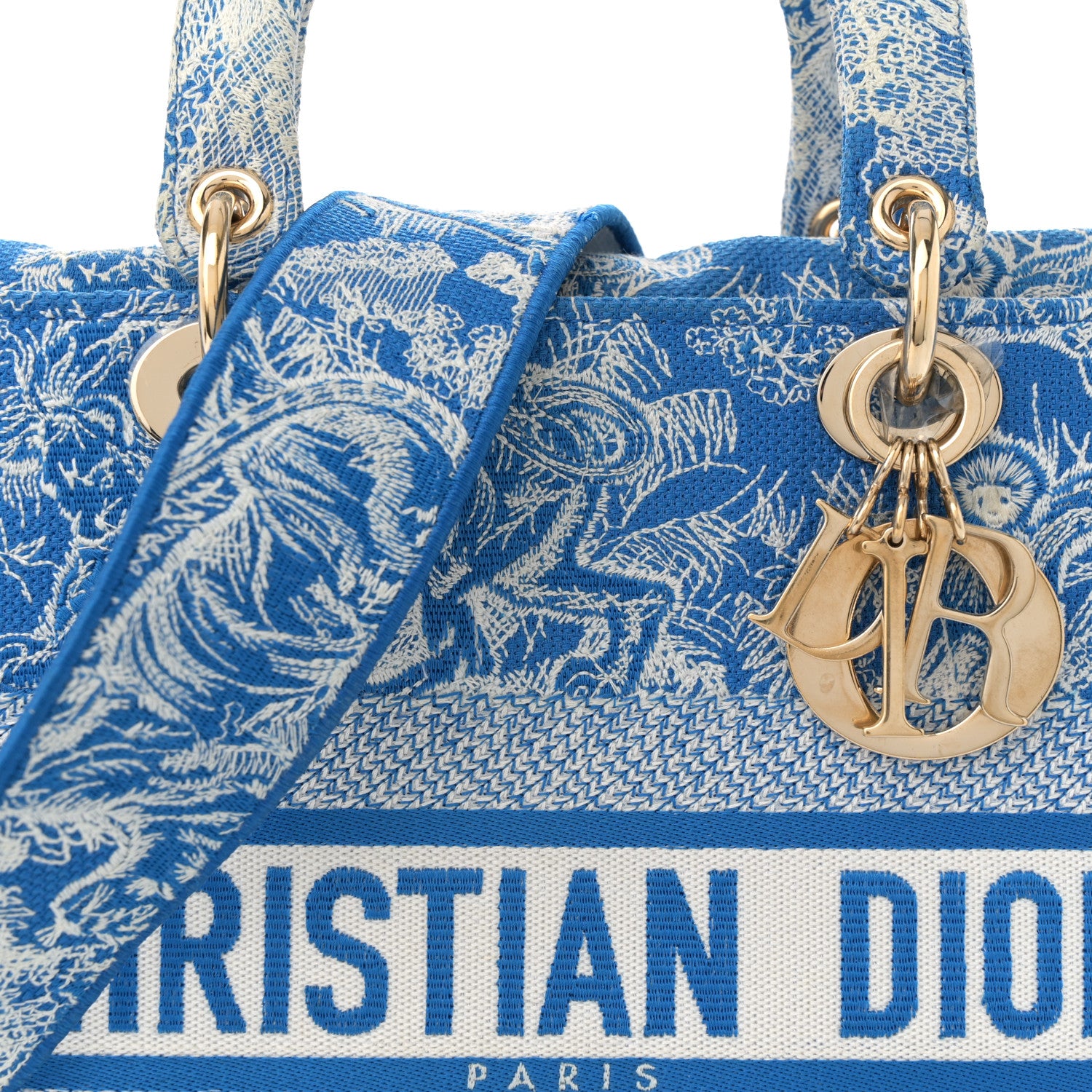 Christian Dior Toile de Jouy Embroidered Large Lady D-Lite