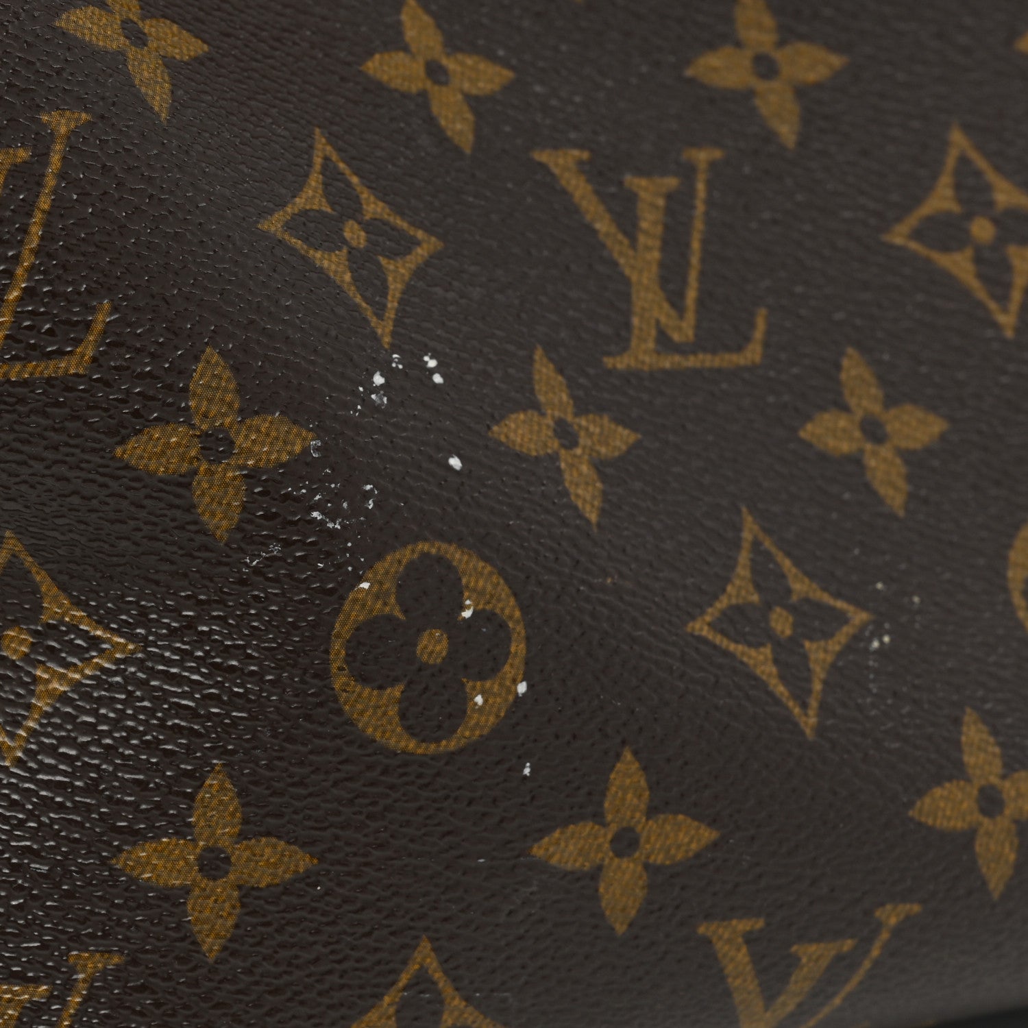 Louis Vuitton Monogram Golden Arrow Speedy Black 10 of 16