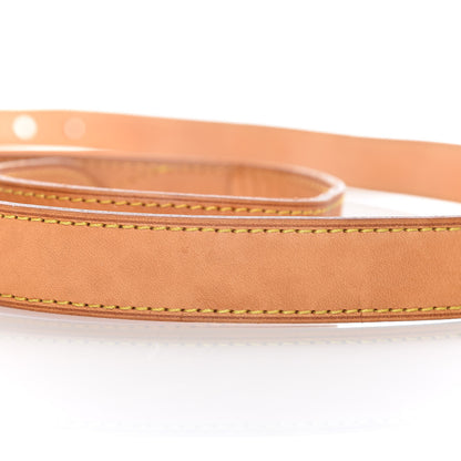 Louis Vuitton Vachetta Baggy PM Strap 9 of 11