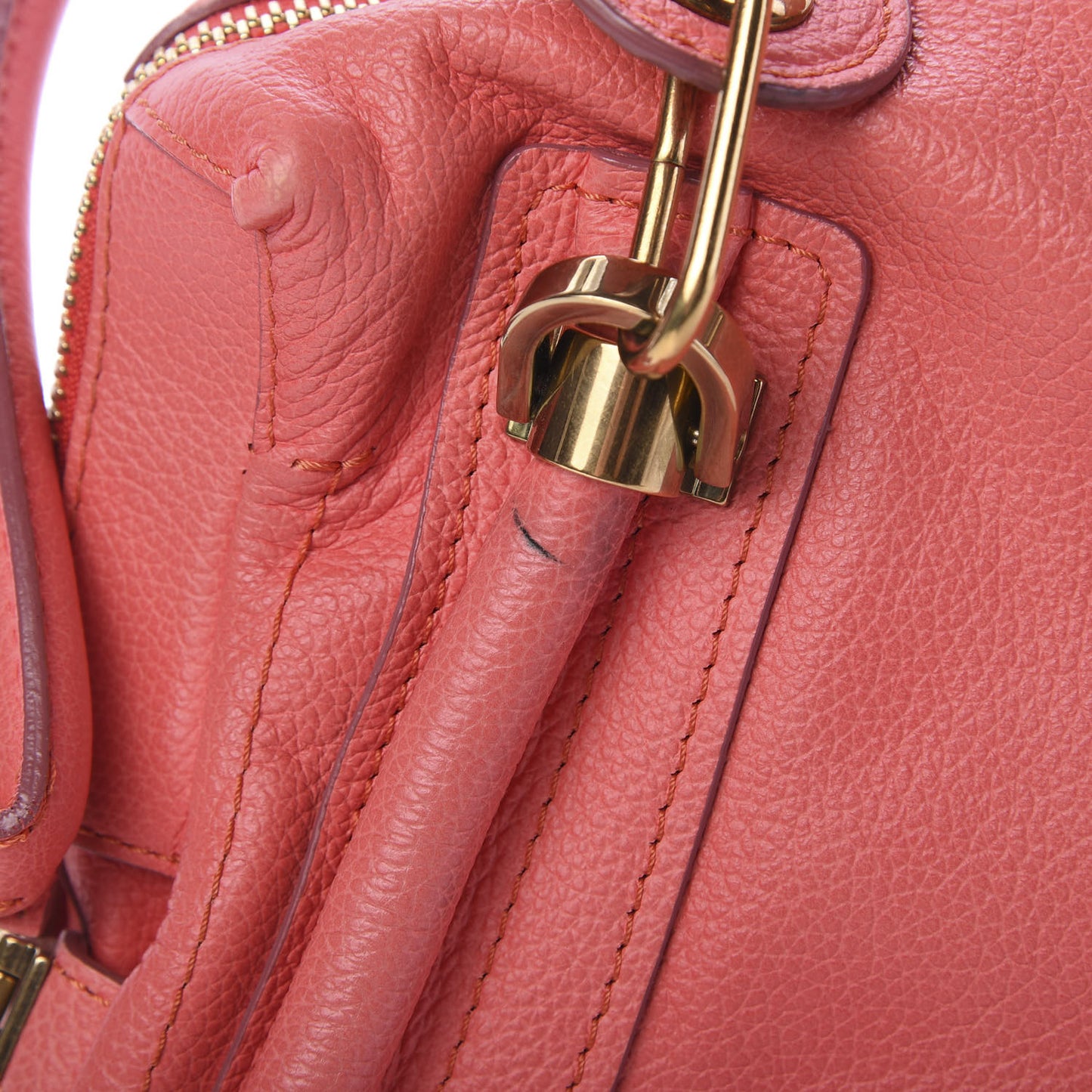 Calfskin Medium Paraty Paradise Pink