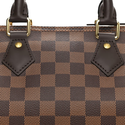 Louis Vuitton Damier Ebene Speedy 25 8 of 10