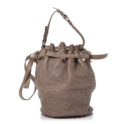Alexander Wang Pebbled Lambskin Diego Bucket Bag Latte 1 of 16