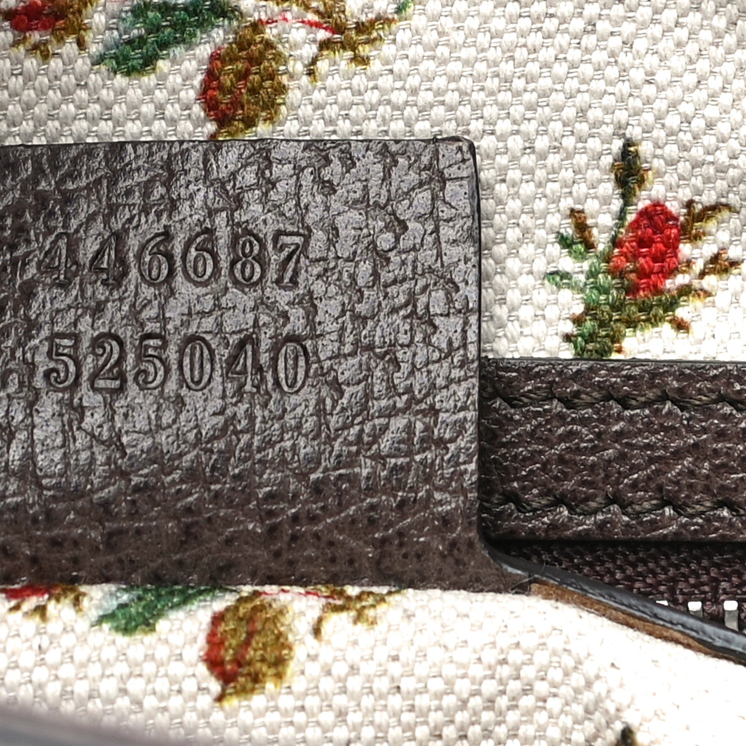 Gucci GG Supreme Monogram Web Medium Dionysus Hobo Brown 10 of 14