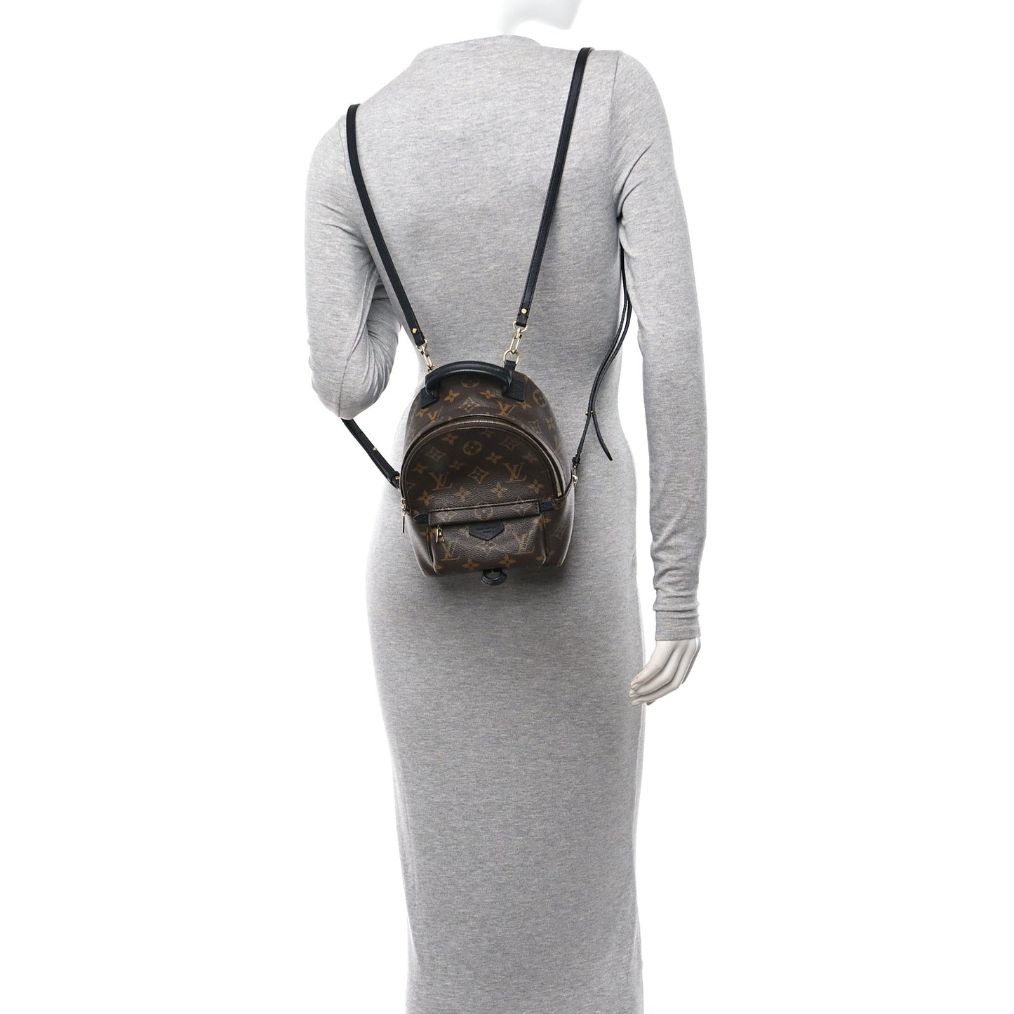 Monogram Palm Springs Backpack Mini