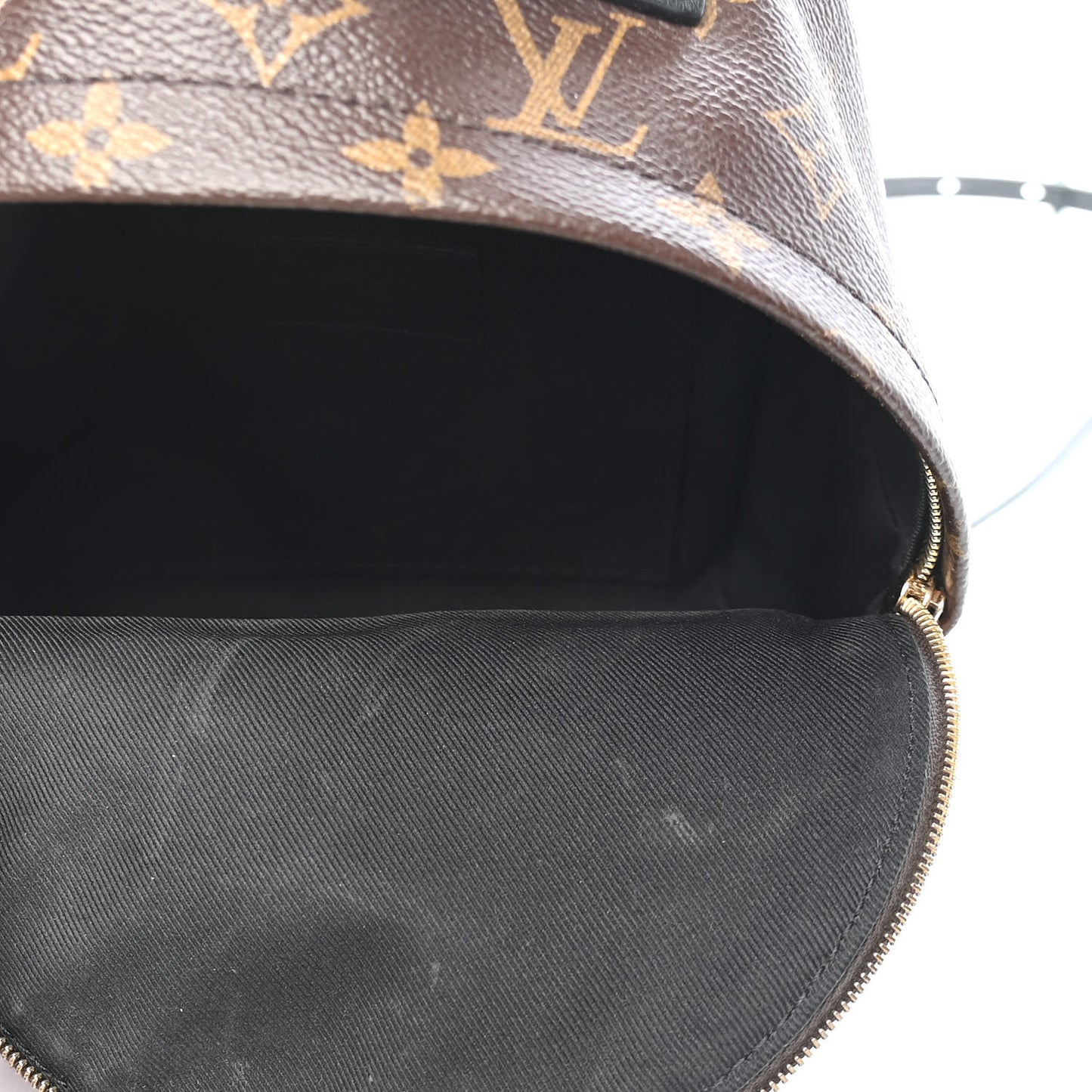 Monogram Palm Springs Backpack Mini